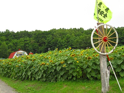 b0171771_5573350.jpg
