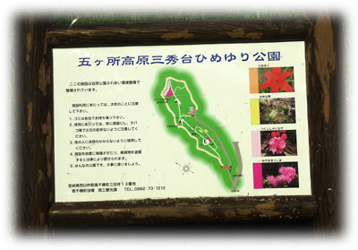 c0152779_1035875.jpg