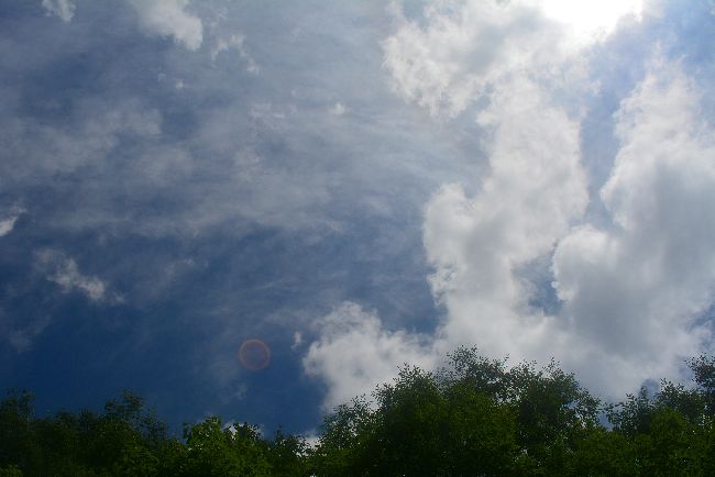 d0164783_22262372.jpg