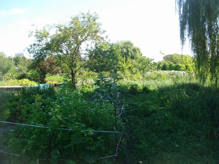 a0247585_22595191.jpg