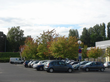 a0247585_2271755.jpg