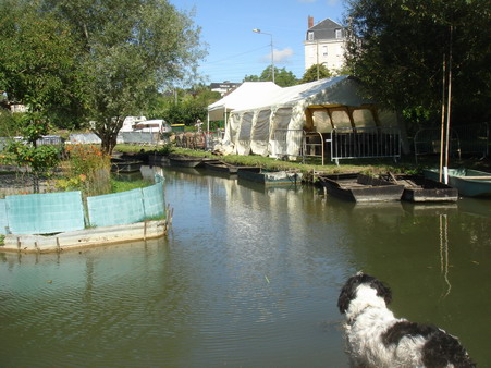 a0247585_2351887.jpg