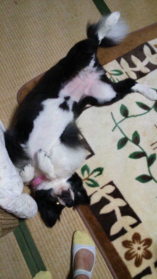 c0120585_9315671.jpg