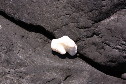 c0204385_22475735.jpg