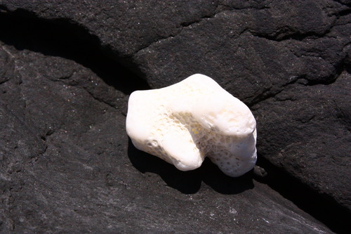 c0204385_22504968.jpg