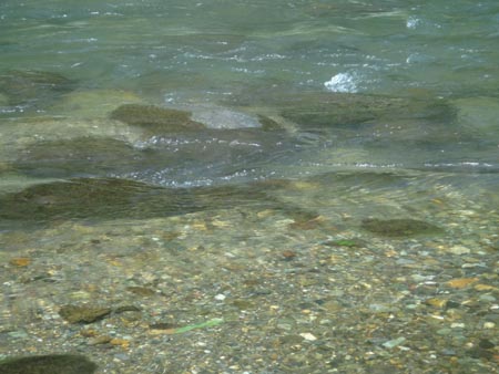 c0146788_16145769.jpg