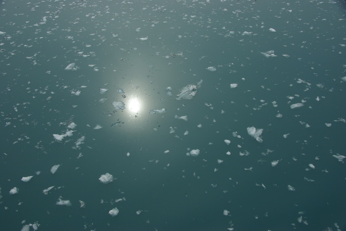 f0268294_14265874.jpg