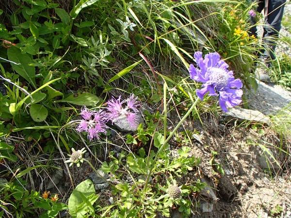b0039898_0354998.jpg