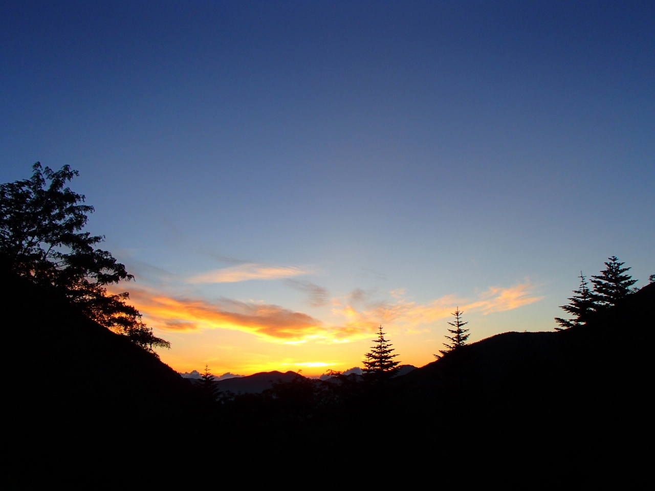 b0039898_13720.jpg