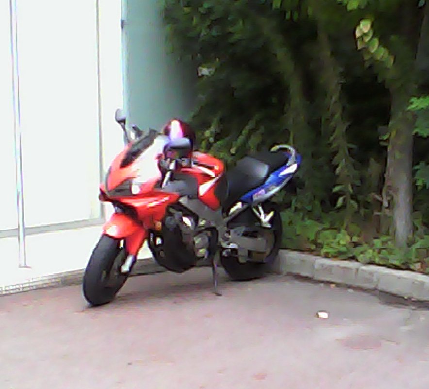 a0031000_10193896.jpg