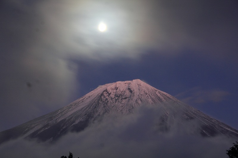 a0188405_721548.jpg
