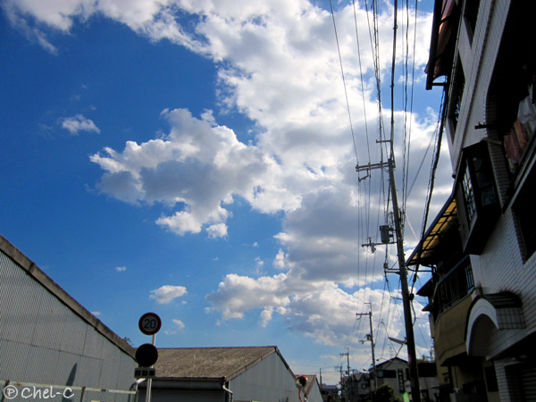 a0154706_12165863.jpg