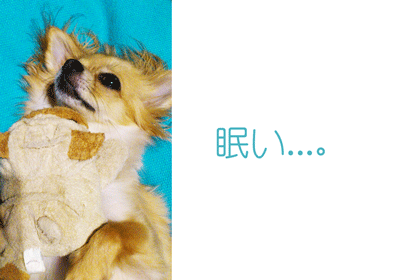 a0055907_20235842.gif