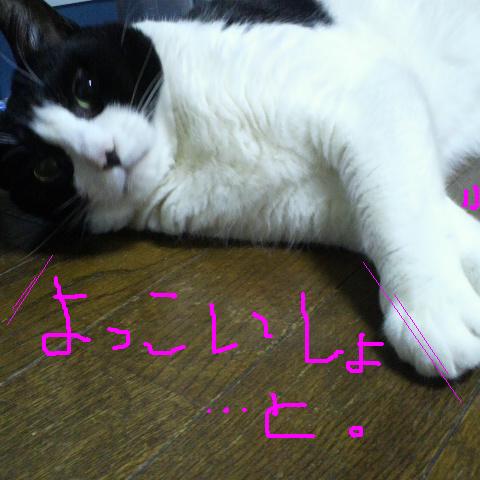 e0099212_18525693.jpg