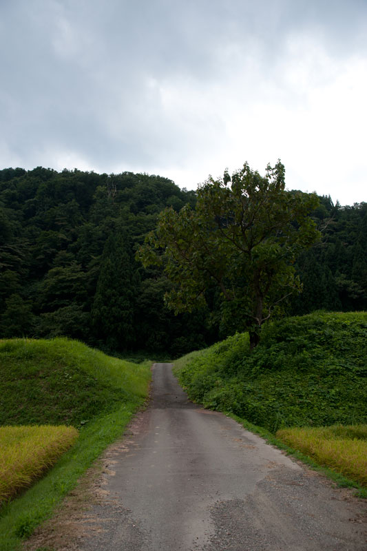 a0278914_16541699.jpg