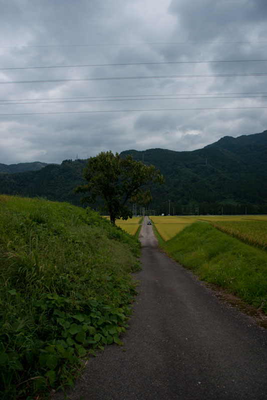 a0278914_16551861.jpg