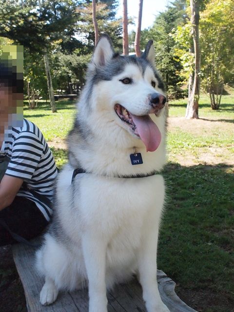 b0207615_22473497.jpg