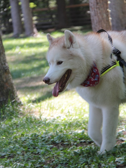 b0207615_2248740.jpg