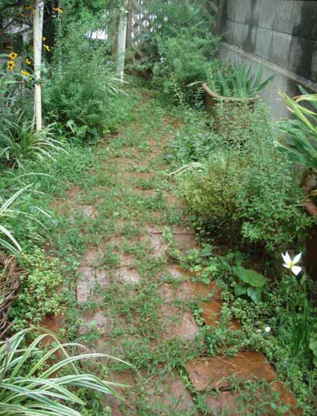 e0110719_1425537.jpg