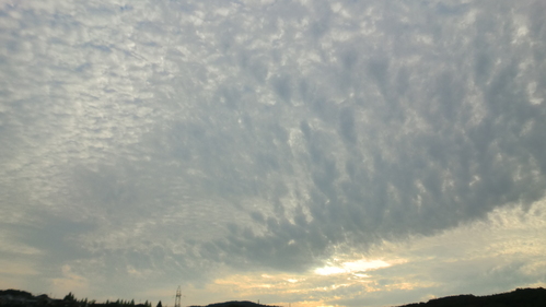b0186321_202874.jpg
