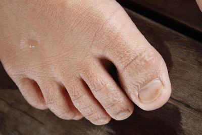 e0123322_22254997.jpg
