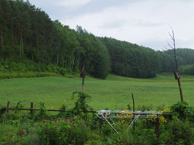 d0258224_682670.jpg