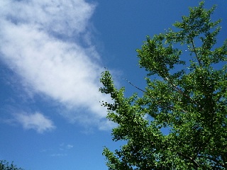 c0051529_11301755.jpg