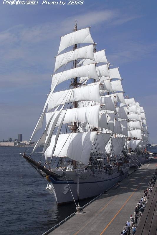 a0195032_9364989.jpg