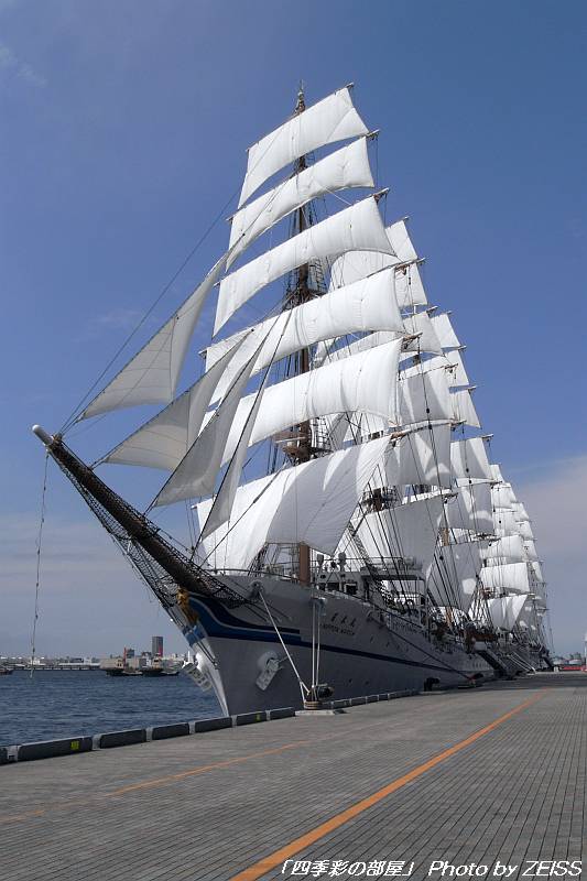 a0195032_9483963.jpg