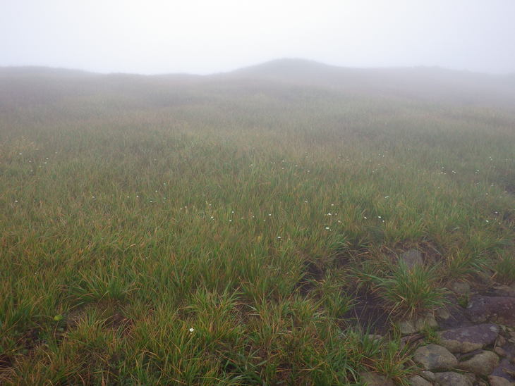 f0118332_22505230.jpg
