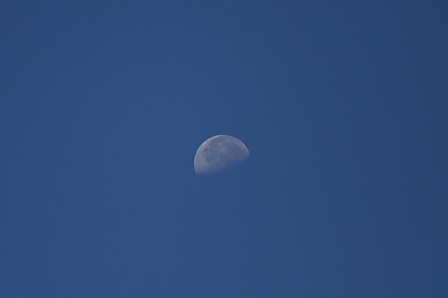 a0242438_19313558.jpg
