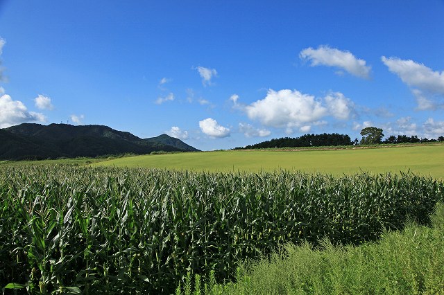 a0242438_19324745.jpg