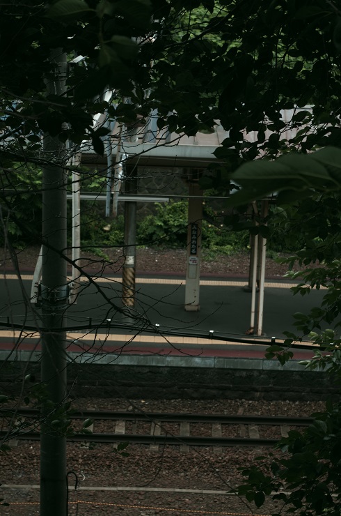 d0165741_16112886.jpg