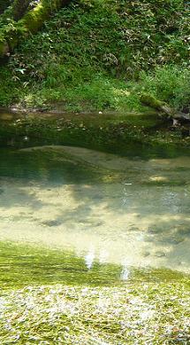 c0225143_1645737.jpg