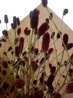 b0028845_0544464.jpg