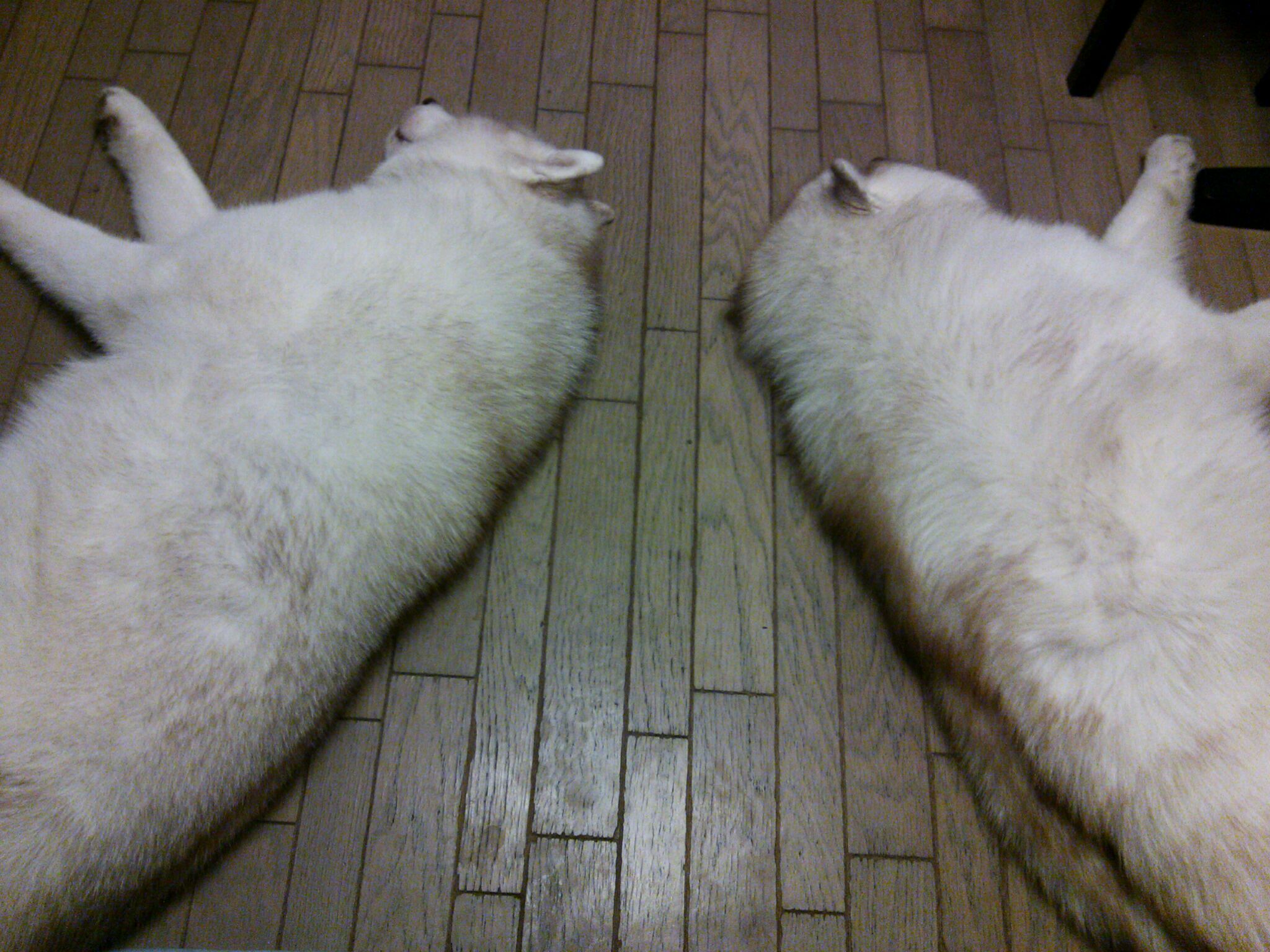 e0121548_21435478.jpg