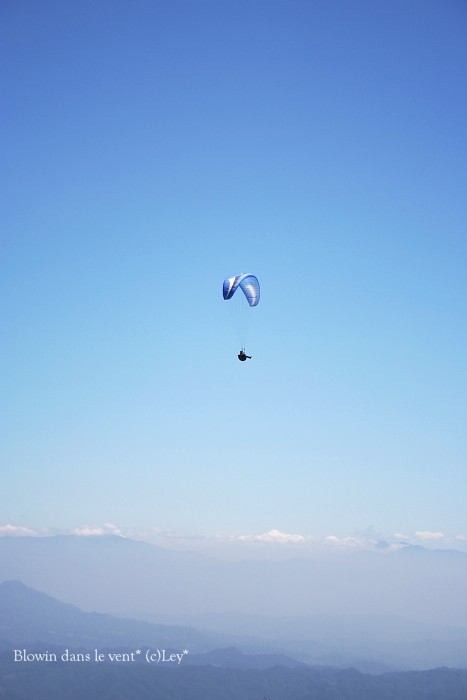 f0251765_1622096.jpg
