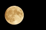c0245072_1838775.jpg