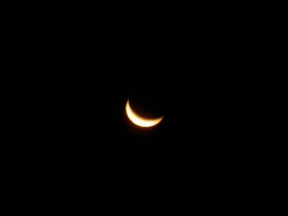e0292172_2040569.jpg