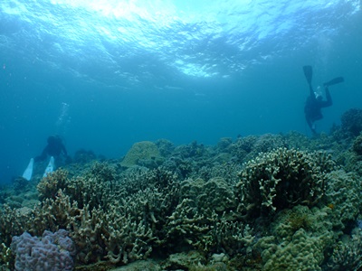b0033573_23533478.jpg