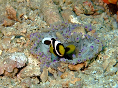b0033573_23544069.jpg