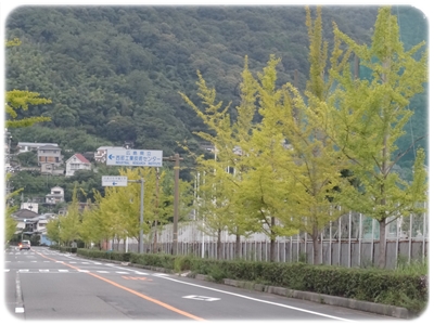 e0264374_12272015.jpg