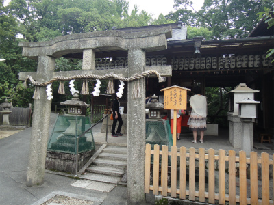 d0182075_538231.jpg
