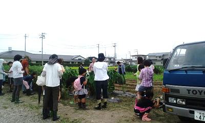 d0261484_13222859.jpg