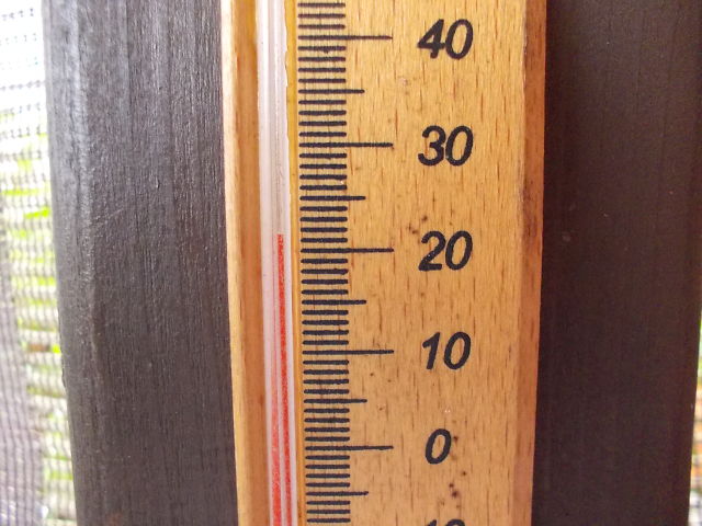 a0007388_1001533.jpg