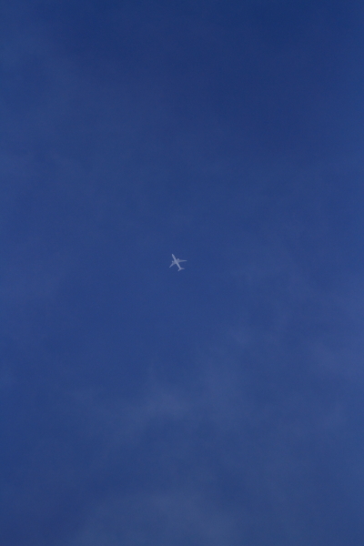 e0051888_6332090.jpg