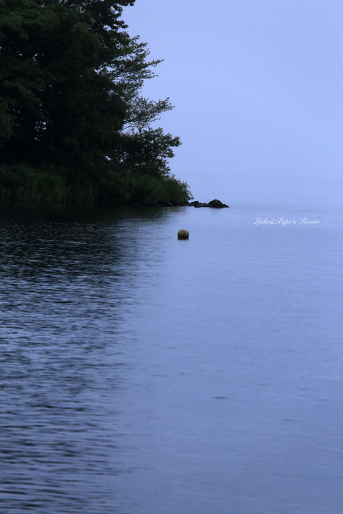 f0001895_2061932.jpg