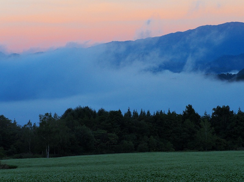 f0224100_0102990.jpg