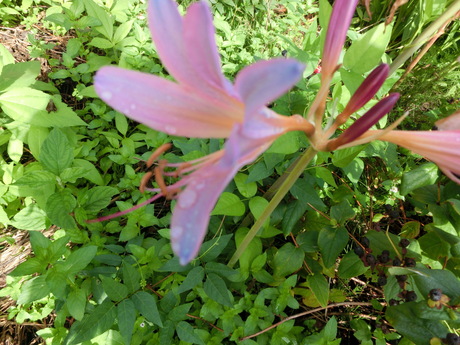 a0203003_21144337.jpg