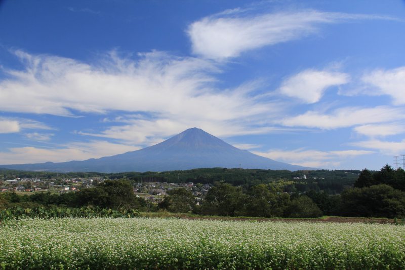 a0188405_9244817.jpg